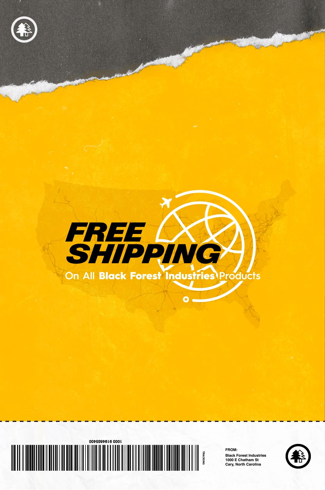 Graphic & Motion Design